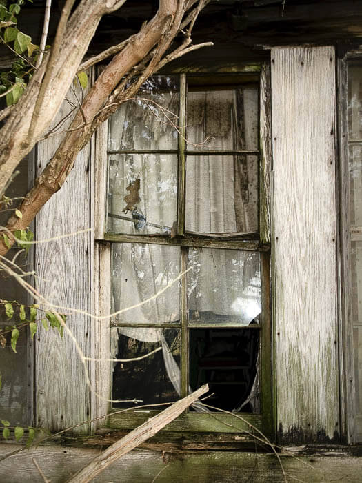 broken window, torn curtain, exterior view, old home, tree