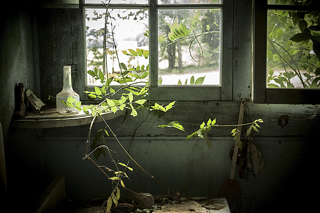 Kitchen interior with and overgrown window, debris and a bottle in a weathered dilapidate old house.