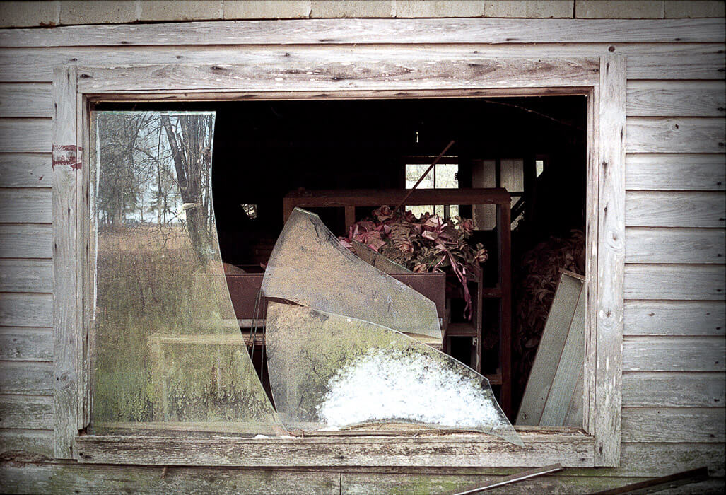 Broken outbuilding window with reflections and flowers.